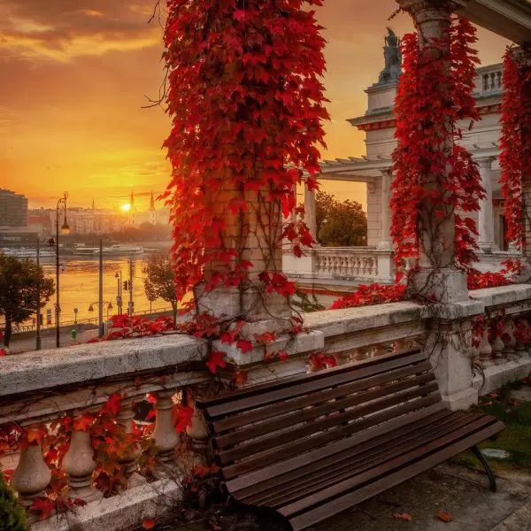 View from Castle Garden Bazaar in Budapest in autumn