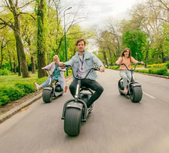 Three people ride electric scooters down a tree-lined path in a park, with greenery and overcast skies in the background.