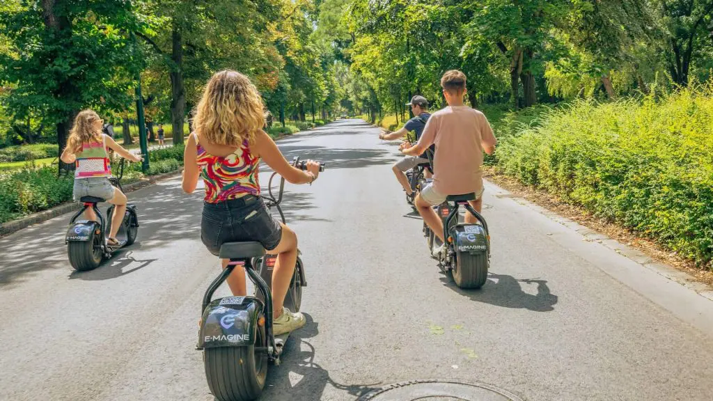 Four people ride electric scooters on a tree-lined road in a park during daytime.