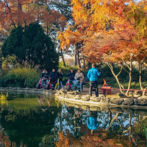 A group of people stands along the edge of a pond in a park with vibrant autumn foliage, part of the charming All In Budapest Tour. The trees display orange and red leaves, reflecting in the water. A person in a blue jacket faces the group, while a small statue is visible near the pond.