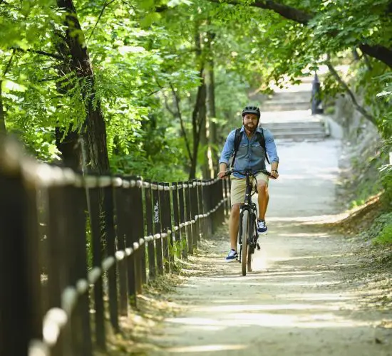 A person riding a bicycle on a sunny, tree-lined path with a black fence along the side and steps visible in the background.