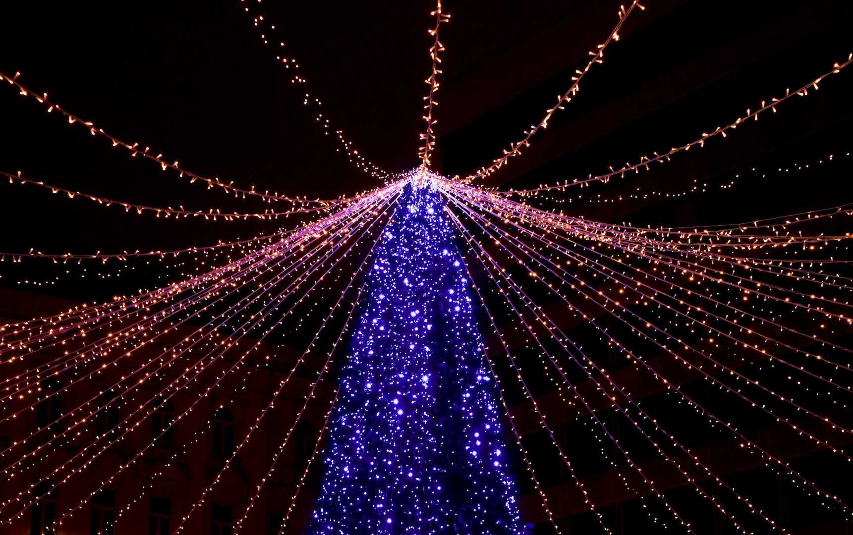 overhead string lights at christmas market