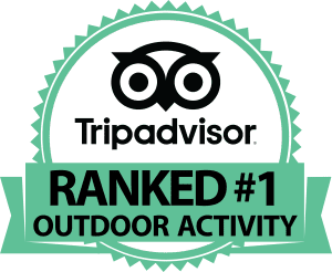 Tripadvisor-jelvény, amelyen ez áll: „Rangsorolt 1. számú szabadtéri tevékenység.